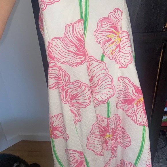 Gorgeous Lily Pulitzer dress worn once - Picture 5 of 5